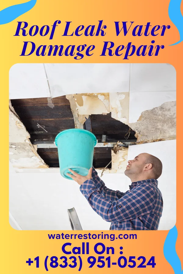 Roof Leak Water Damage Repair in Crane Creek, CA